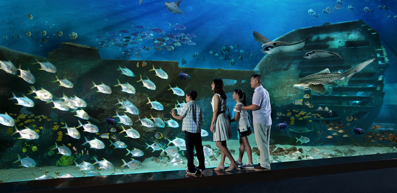 SEA Aquarium- Things to do in singapore-singaporeboleh.jpg