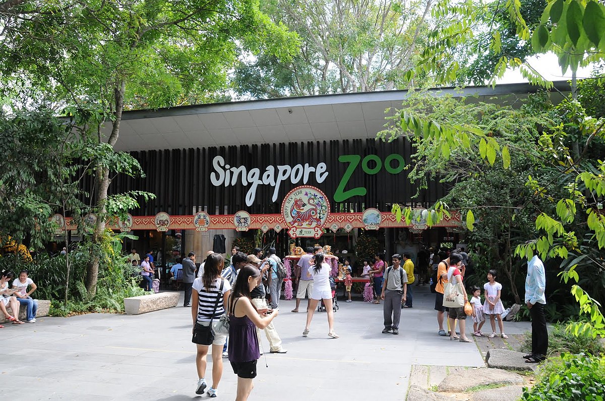 Singapore Zoo-Things to do in singapore-singaporeboleh.jpg